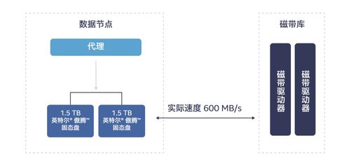英特爾傲騰技術 高效解決冷數據存儲挑戰，賦能數據處理與存儲服務